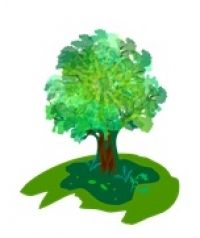 Mezinárodní den stromů 
